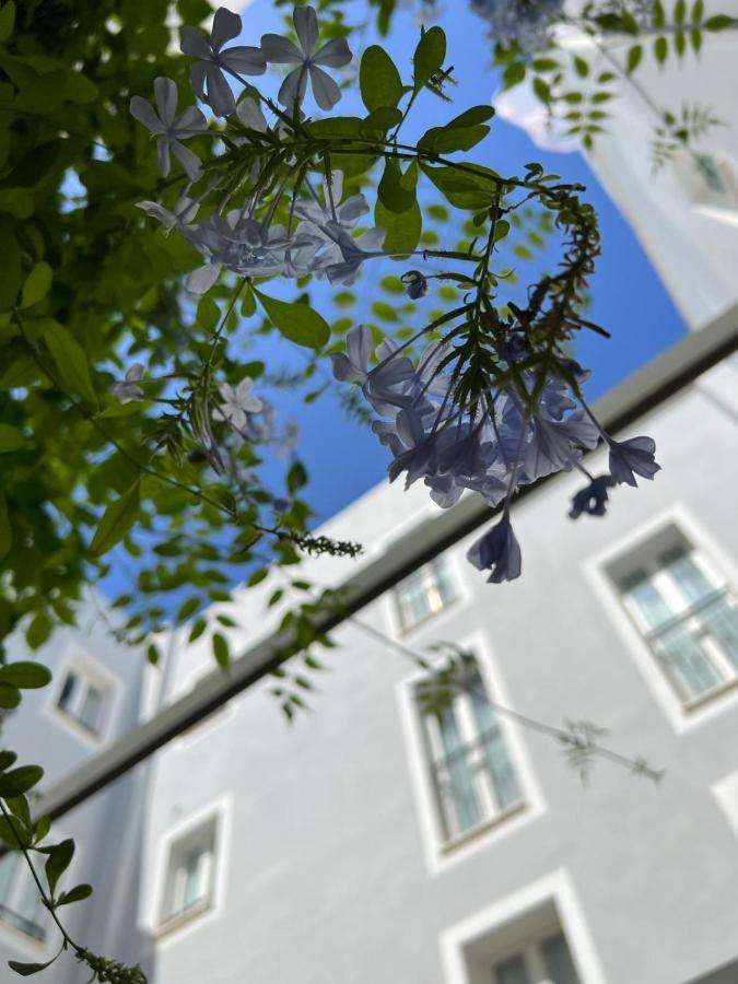 Hotel San Miguel Menorca Mahon  Exterior photo